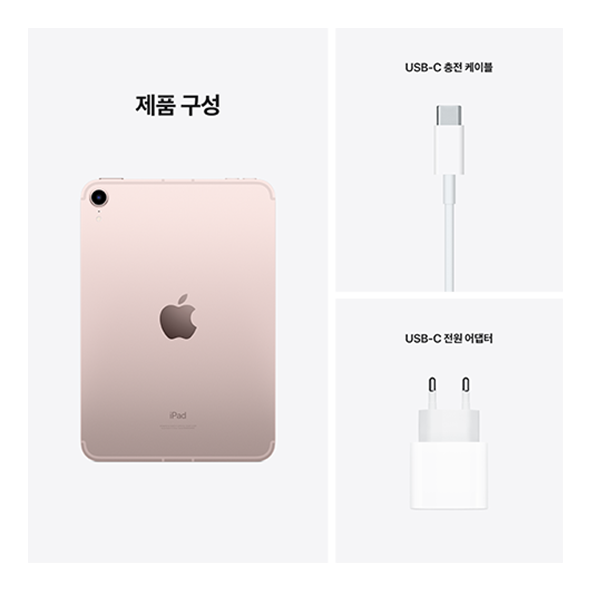iPad mini (6세대)