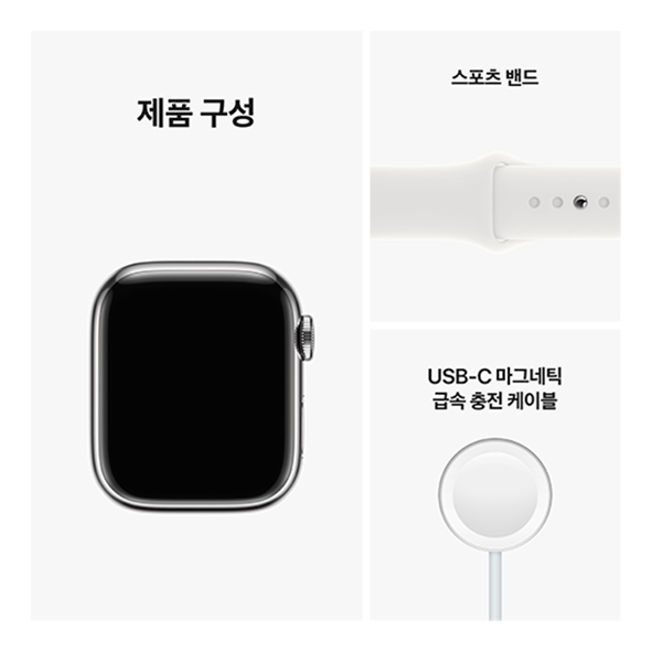 Apple Watch Series 8 (스테인리스, 41mm)
