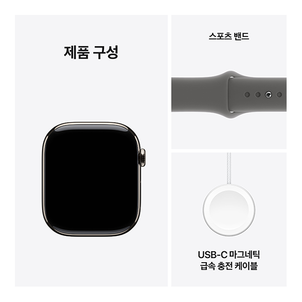 Apple Watch Series 10 (티타늄, 42mm)